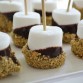Give Me S’More Please!