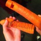 Yes, That’s a Vegetable Orche...